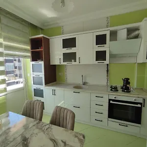 Large House تركيا